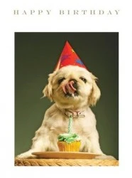Happy Birthday Cards