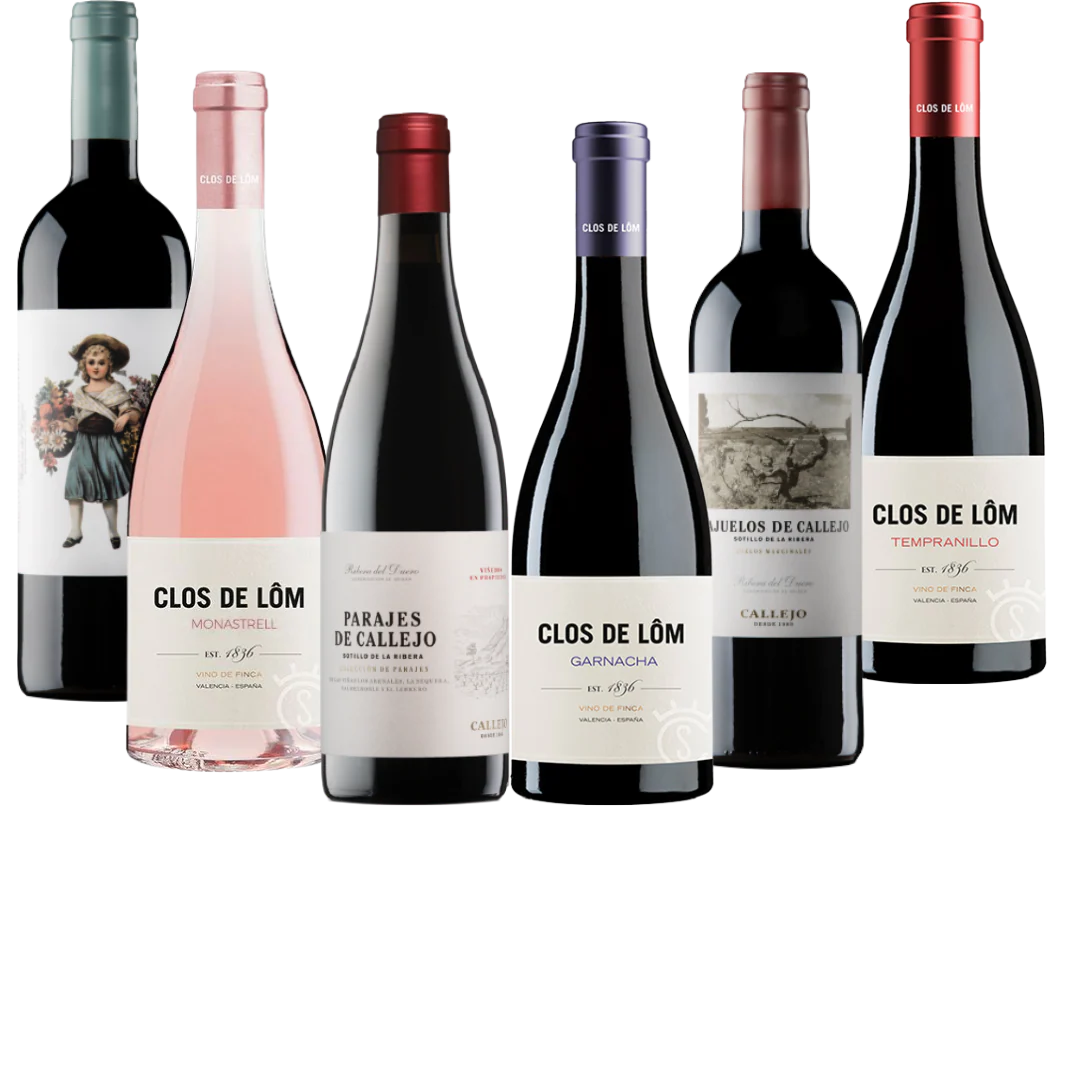 90 Points Plus Spanish Blockbuster 6 Bottle Case