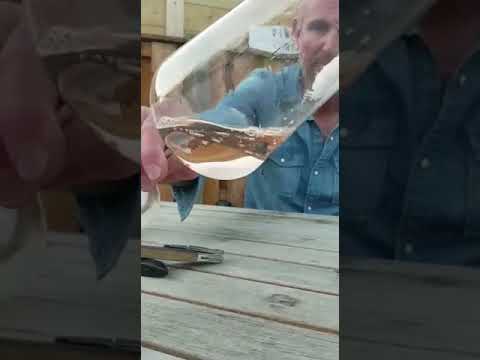 Whispering Angel Rosé - Image 2